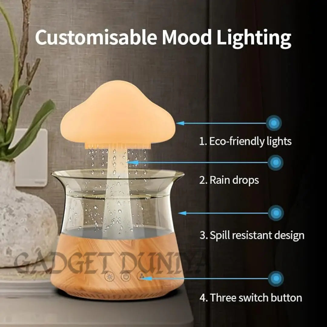 Rain Cloud Humidifier