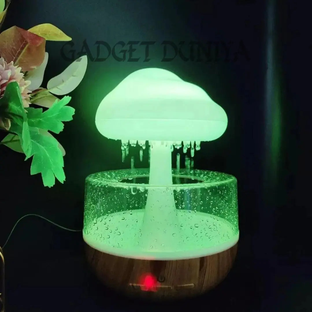Rain Cloud Humidifier 